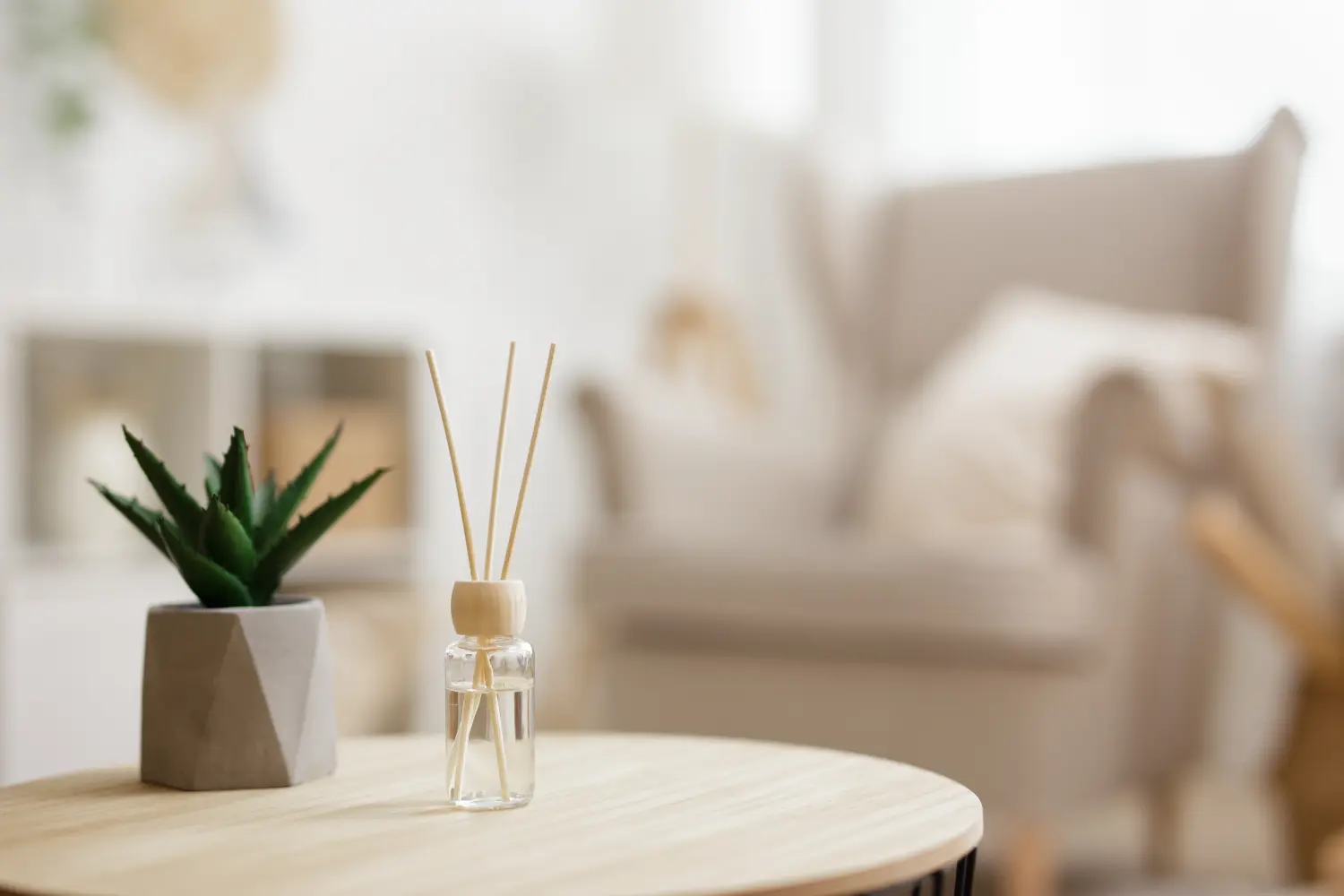 Nahaufnahme von Schilfrohrdiffusor und Zimmerpflanze Aloe Vera auf Holztisch im hellen Wohnzimmer