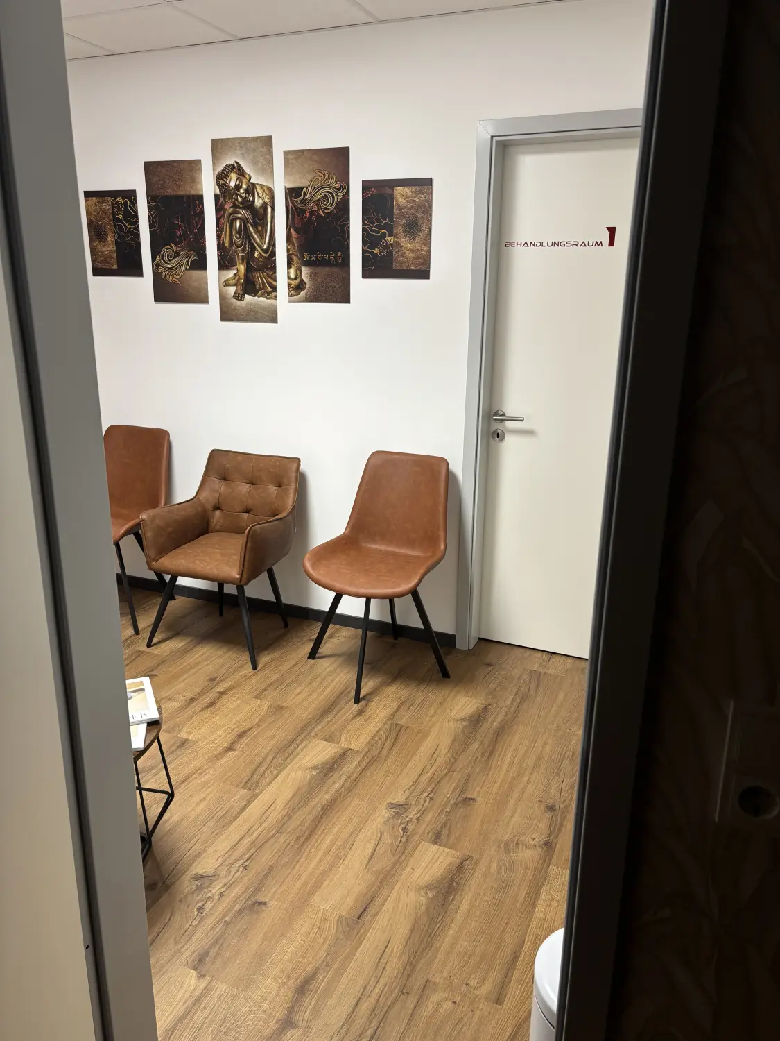 Eine Person meditiert in einer ruhigen Umgebung im Freien, umgeben von grünen Blättern und Sonnenlicht, mit sieben leuchtenden Chakren, die entlang des Rumpfes des Körpers ausgerichtet sind.